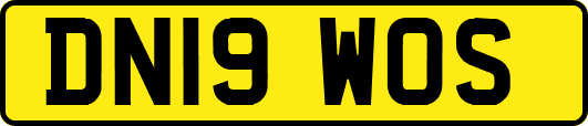 DN19WOS