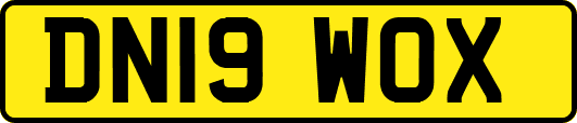 DN19WOX