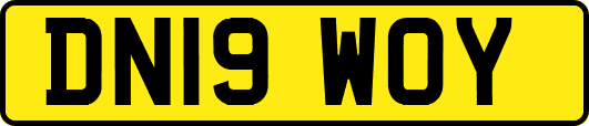 DN19WOY