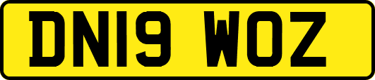 DN19WOZ