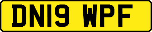 DN19WPF