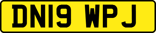 DN19WPJ