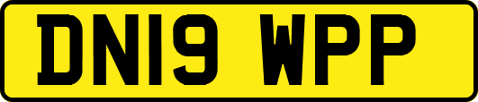 DN19WPP