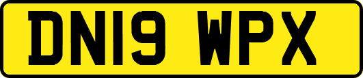 DN19WPX