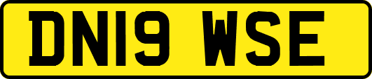 DN19WSE