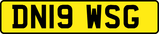 DN19WSG