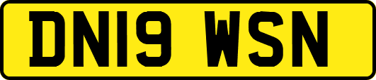 DN19WSN