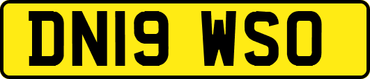 DN19WSO