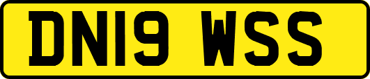 DN19WSS