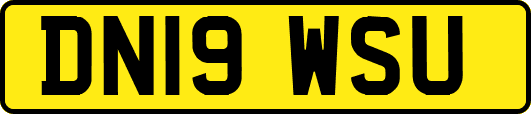 DN19WSU