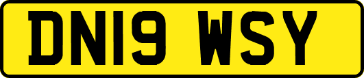 DN19WSY