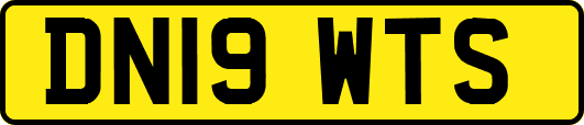 DN19WTS