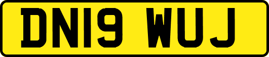 DN19WUJ