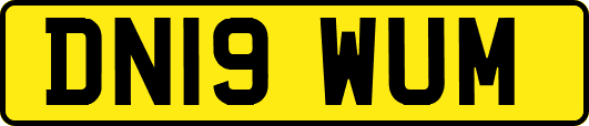 DN19WUM