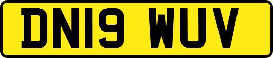 DN19WUV