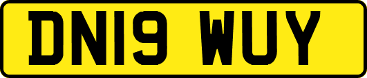 DN19WUY