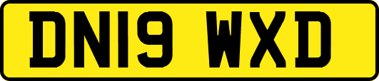 DN19WXD