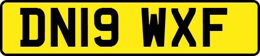 DN19WXF