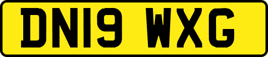 DN19WXG