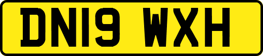 DN19WXH