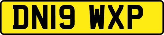 DN19WXP