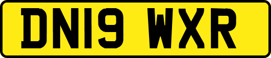 DN19WXR