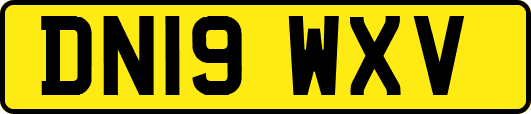 DN19WXV