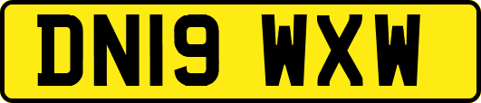 DN19WXW