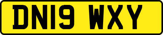 DN19WXY