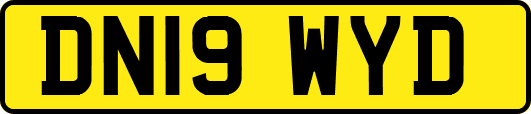 DN19WYD