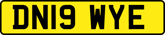 DN19WYE