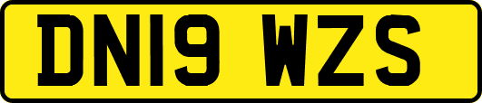DN19WZS