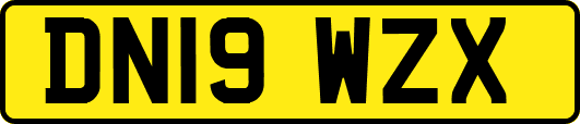 DN19WZX