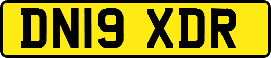 DN19XDR