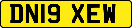DN19XEW
