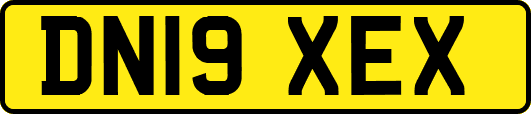 DN19XEX