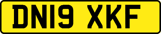 DN19XKF