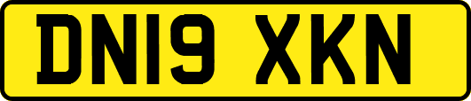 DN19XKN