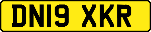 DN19XKR