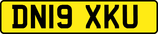 DN19XKU