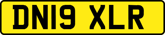 DN19XLR