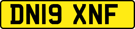 DN19XNF