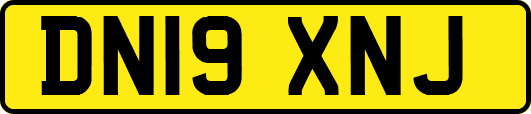 DN19XNJ