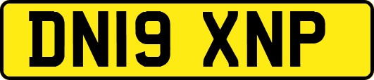DN19XNP