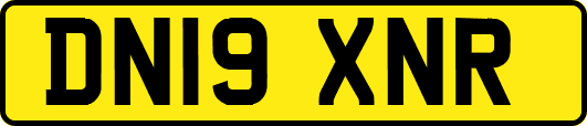 DN19XNR