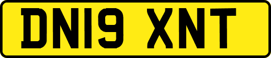 DN19XNT