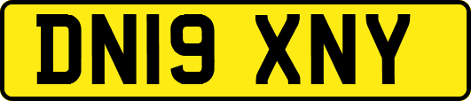 DN19XNY