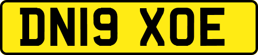 DN19XOE