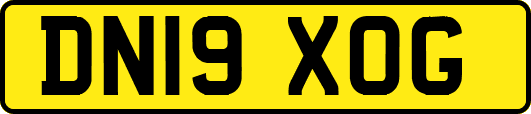 DN19XOG