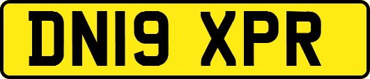 DN19XPR